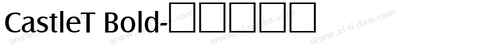 CastleT Bold字体转换